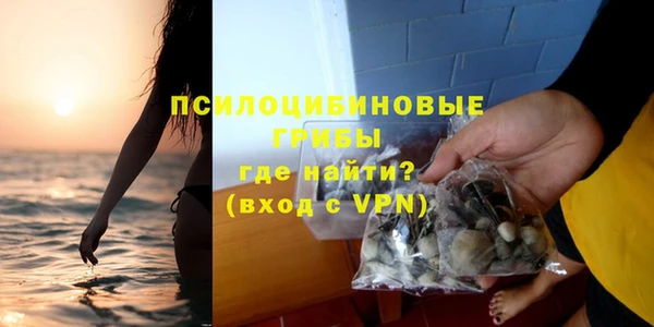 мяу мяу мука Аркадак