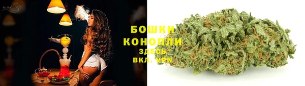 стаф Балахна