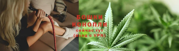прущие грибы Баксан