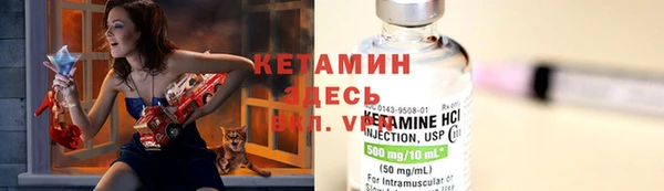 прущие грибы Баксан