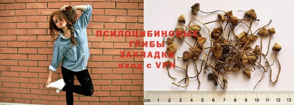 бошки Балабаново