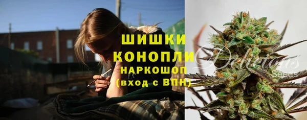 spice Сатка